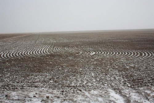 Property photo 19 - Kansas Land Auction - 960 Acres - 7 Farms in 3 Counties